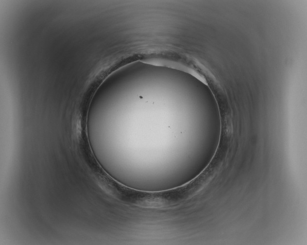 X0000110950685200906191251