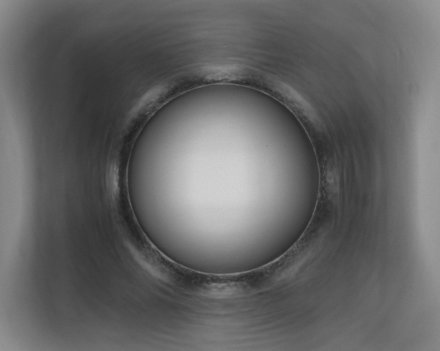 X0000110950686200906191251