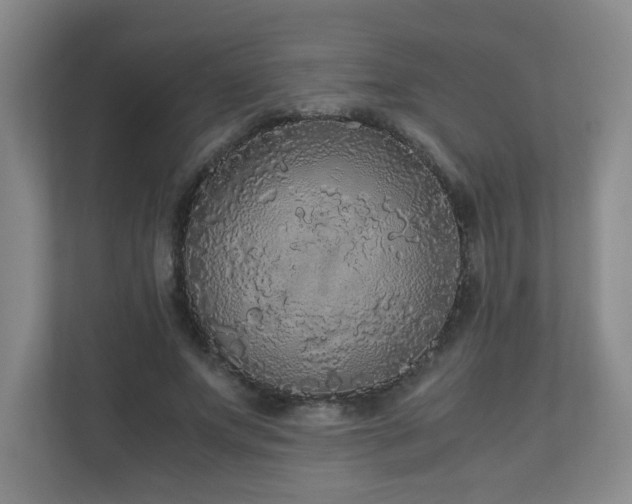 X0000110950687200906191251