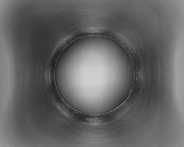 X0000110950688200906191251