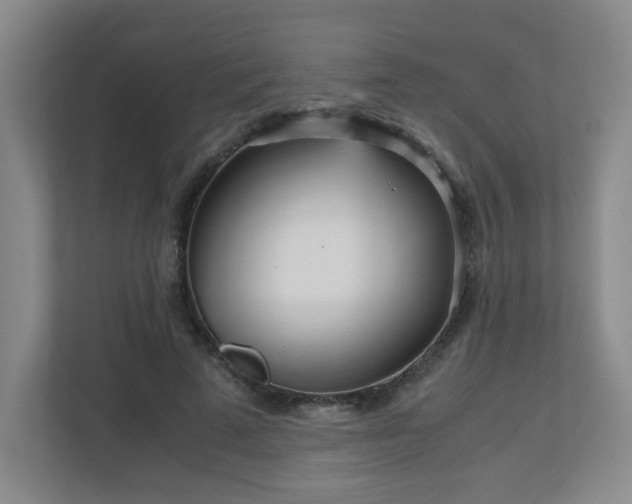 X0000110950689200906191251