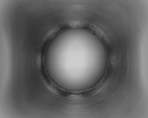 X0000110950690200906191251