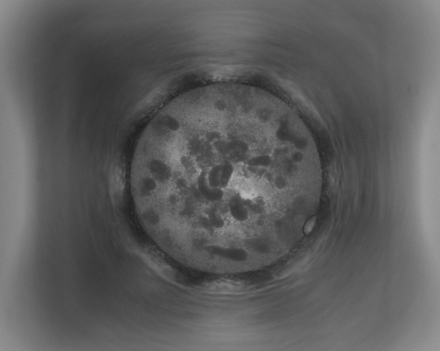 X0000110950691200906191251