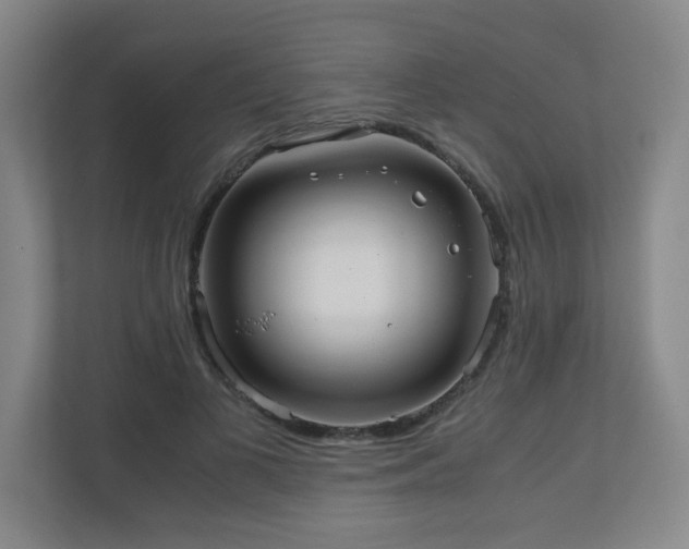 X0000110950693200906191251