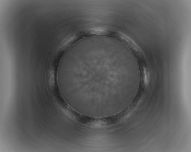 X0000110950696200906191251