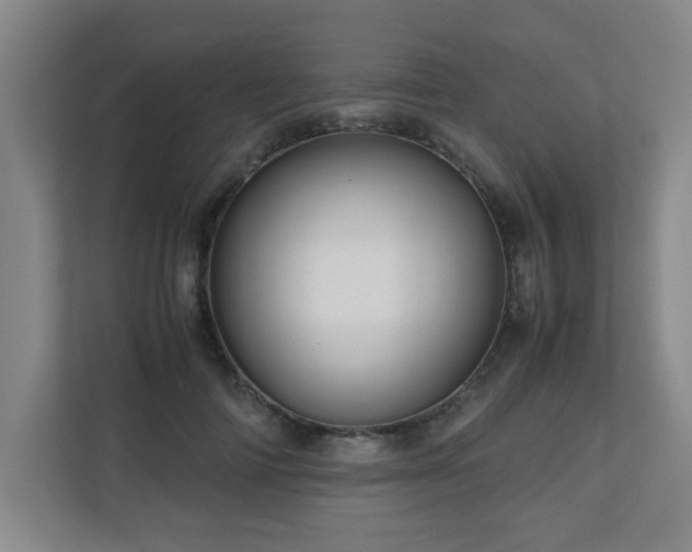 X0000110950698200906191251