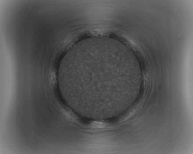 X0000110950699200906191251