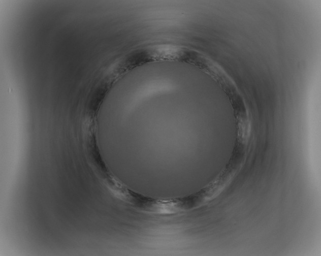 X0000110950701200906191251