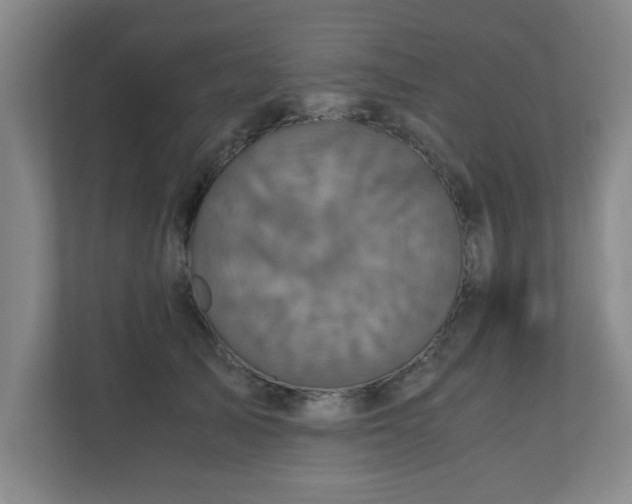 X0000110950705200906191251