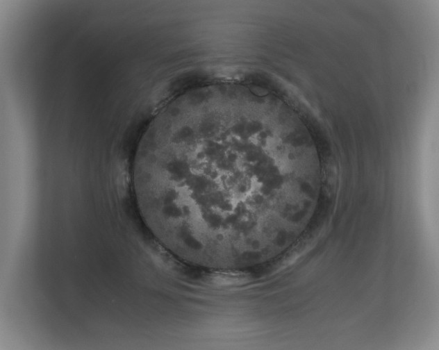X0000110950707200906191251