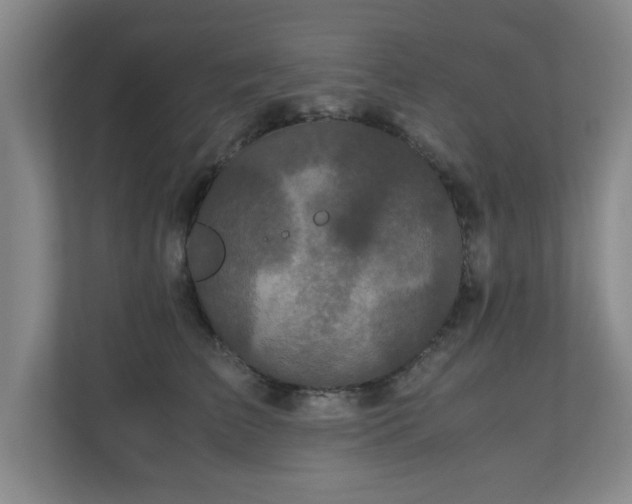 X0000110950709200906191251