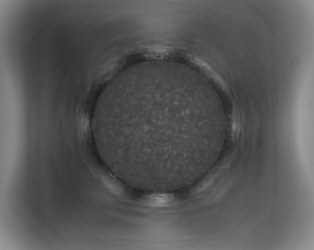 X0000110950711200906191251