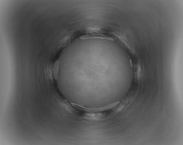 X0000110950712200906191251