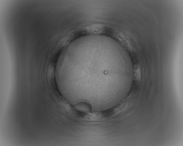 X0000110950713200906191251