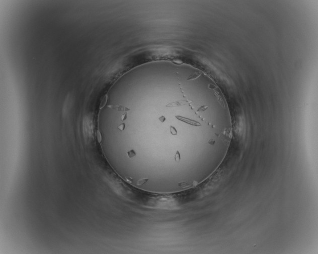 X0000110950715200906191250
