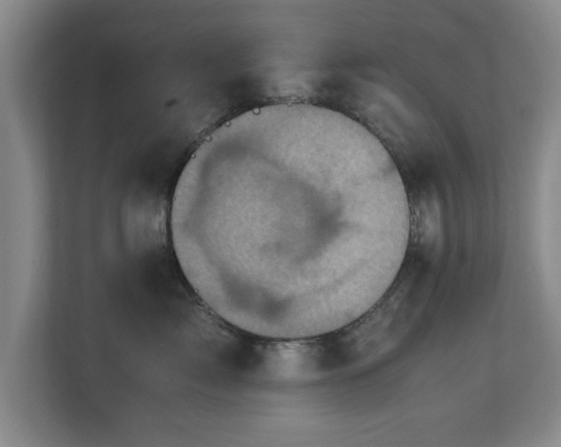 X0000110950717200906191250