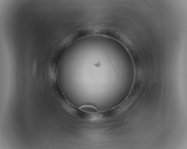 X0000110950719200906191250