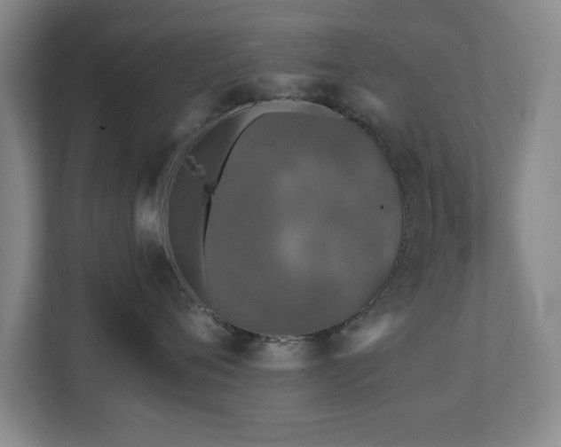 X0000110950720200906191250