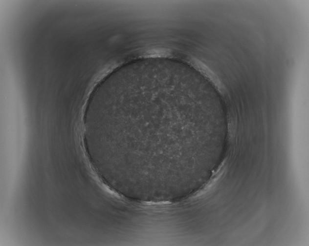 X0000110950721200906191250