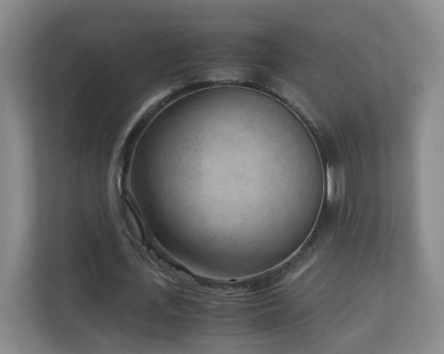 X0000110950723200906191250