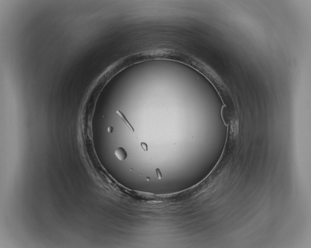 X0000110950724200906191250