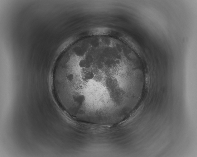 X0000110950725200906191250