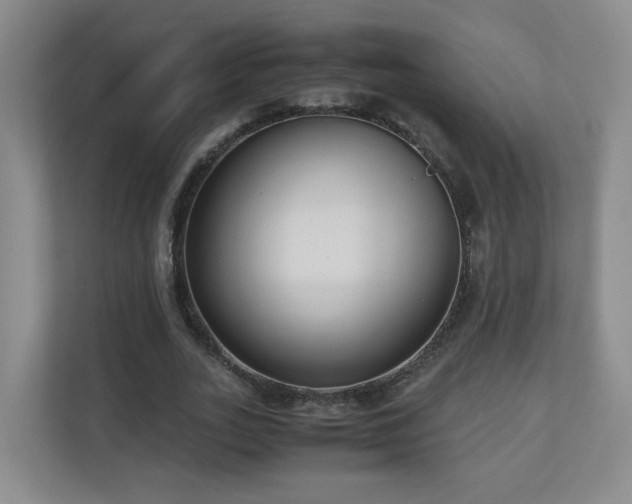 X0000110950727200906191250