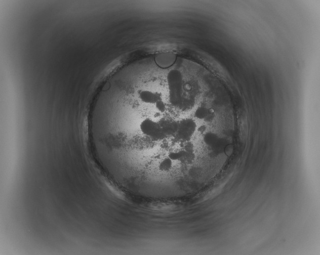 X0000110950729200906191250