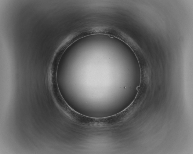 X0000110950730200906191250
