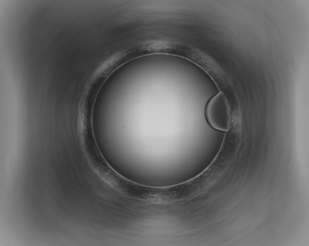 X0000110950732200906191250