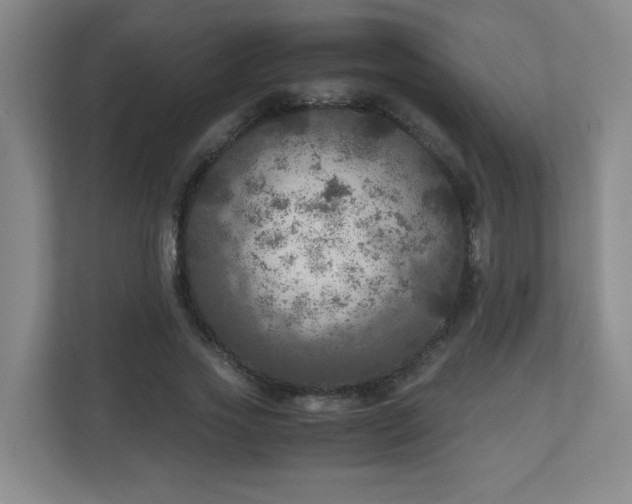 X0000110950733200906191250