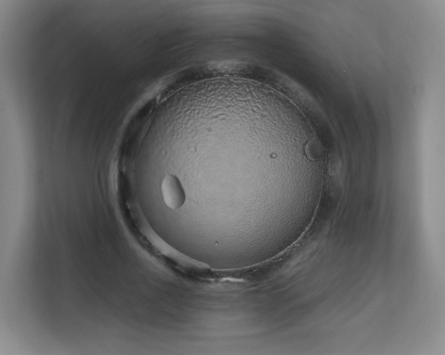 X0000110950734200906191250