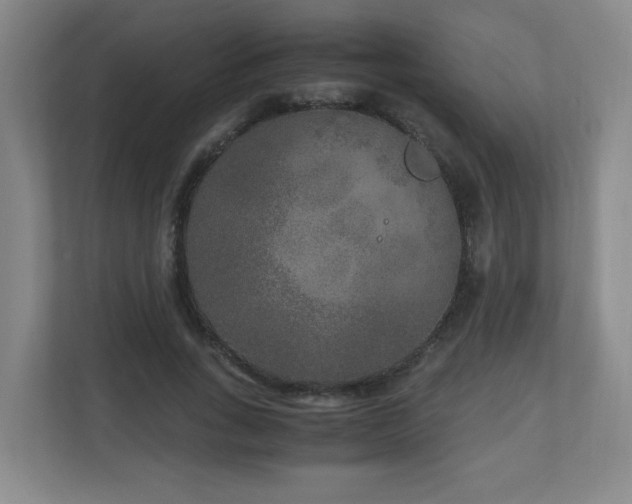 X0000110950735200906191250