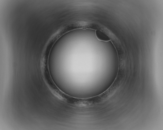 X0000110950736200906191250