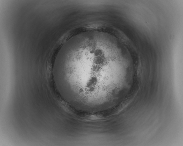 X0000110950737200906191250