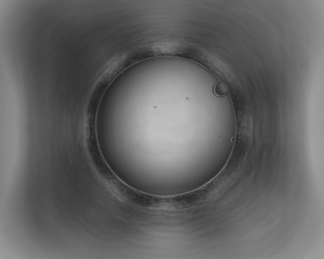 X0000110950738200906191250