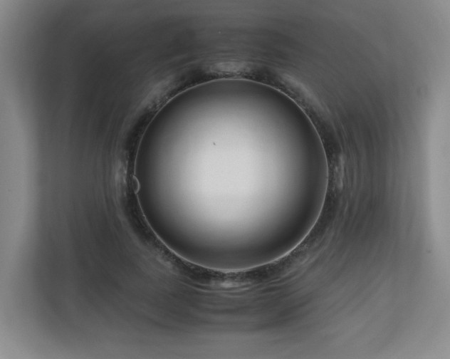 X0000110950739200906191250