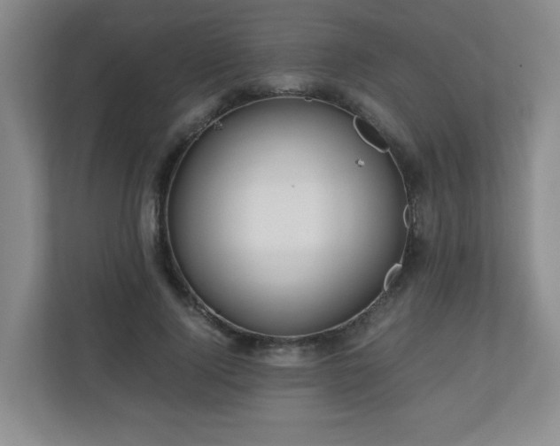 X0000110950740200906191250