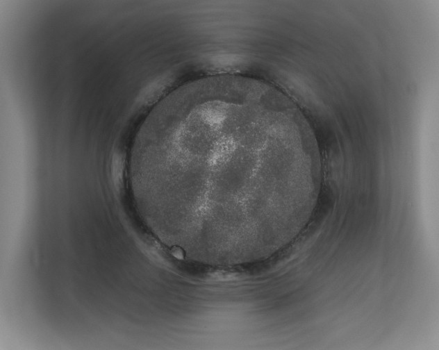 X0000110950742200906191250