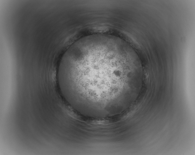 X0000110950745200906191250