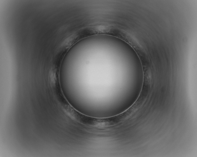X0000110950746200906191250