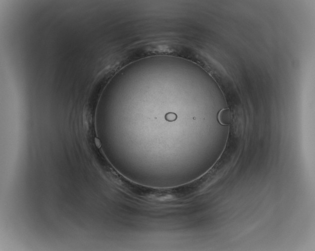X0000110950747200906191250