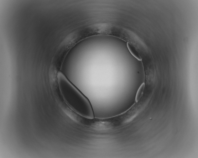 X0000110950748200906191250
