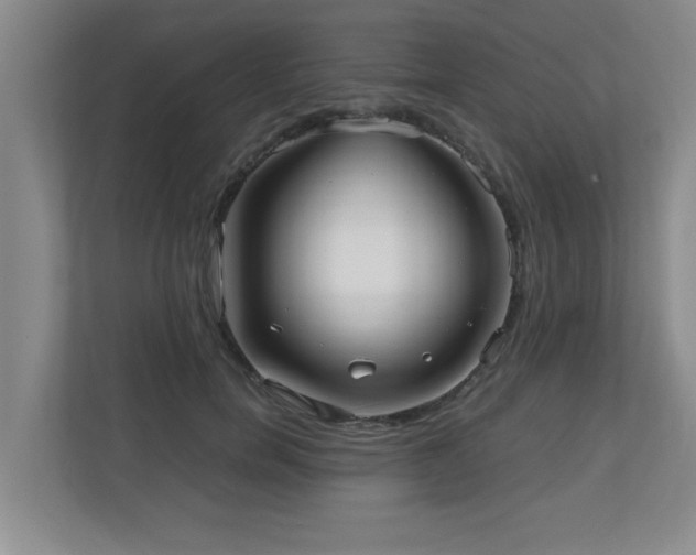 X0000110950750200906191250