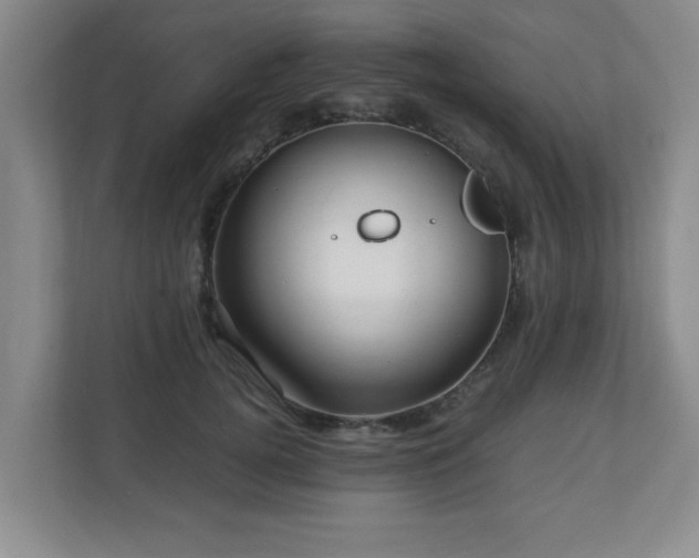 X0000110950752200906191250
