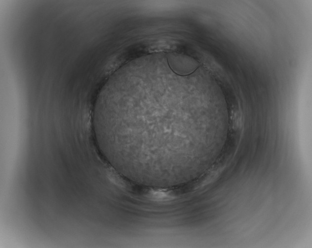 X0000110950753200906191250
