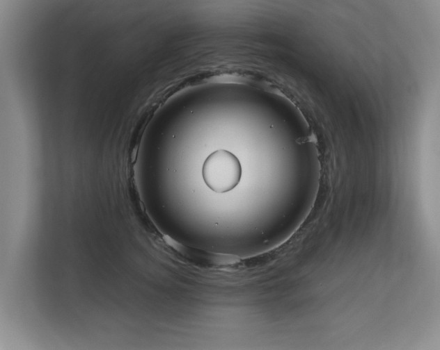 X0000110950756200906191250