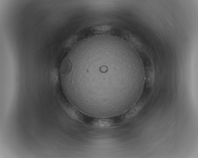 X0000110950758200906191250