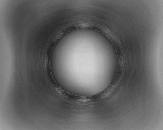 X0000110950760200906191250