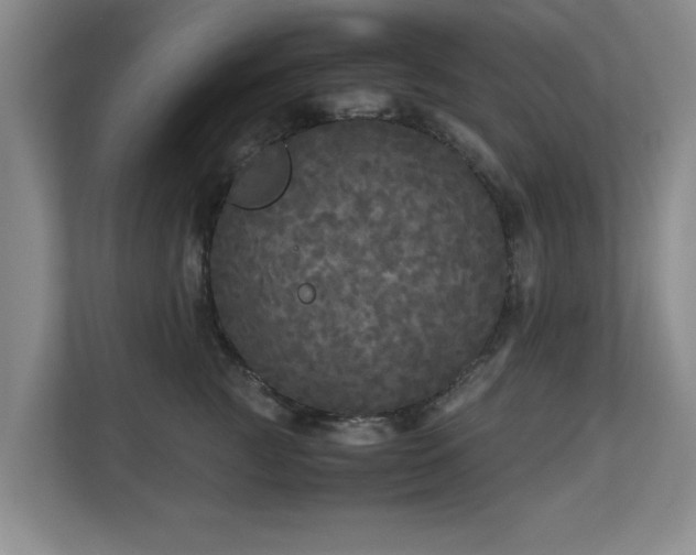 X0000110950761200906191250